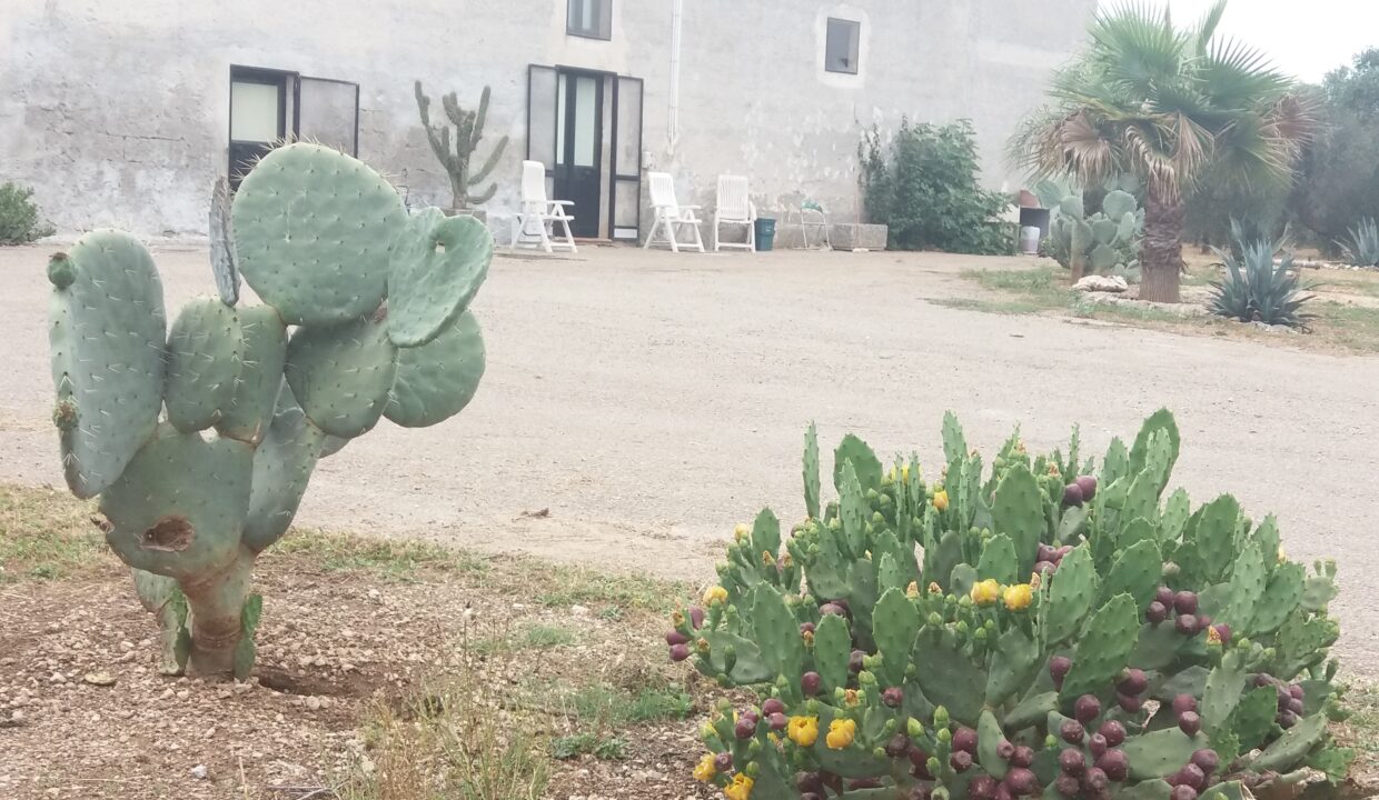 20180602_170305