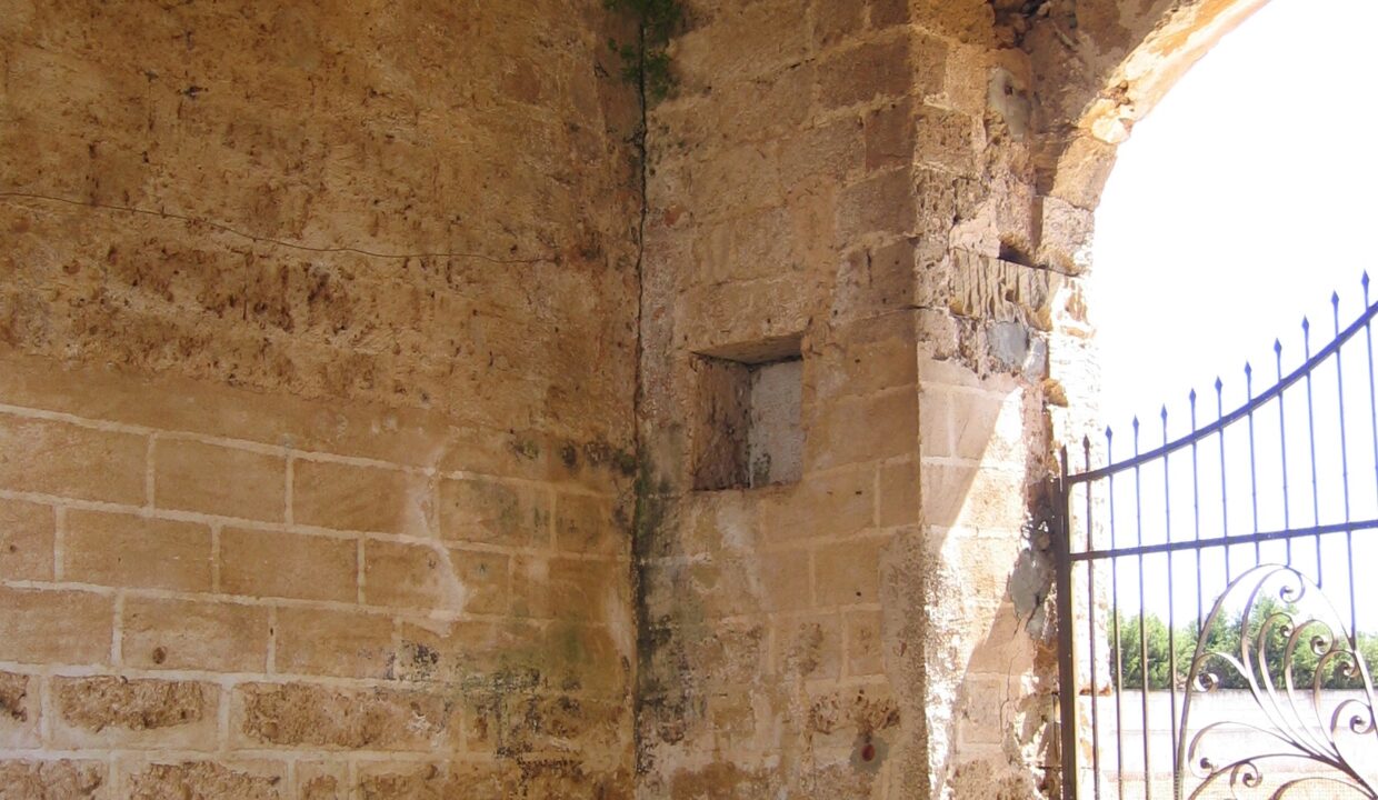 Foto Duca 045__