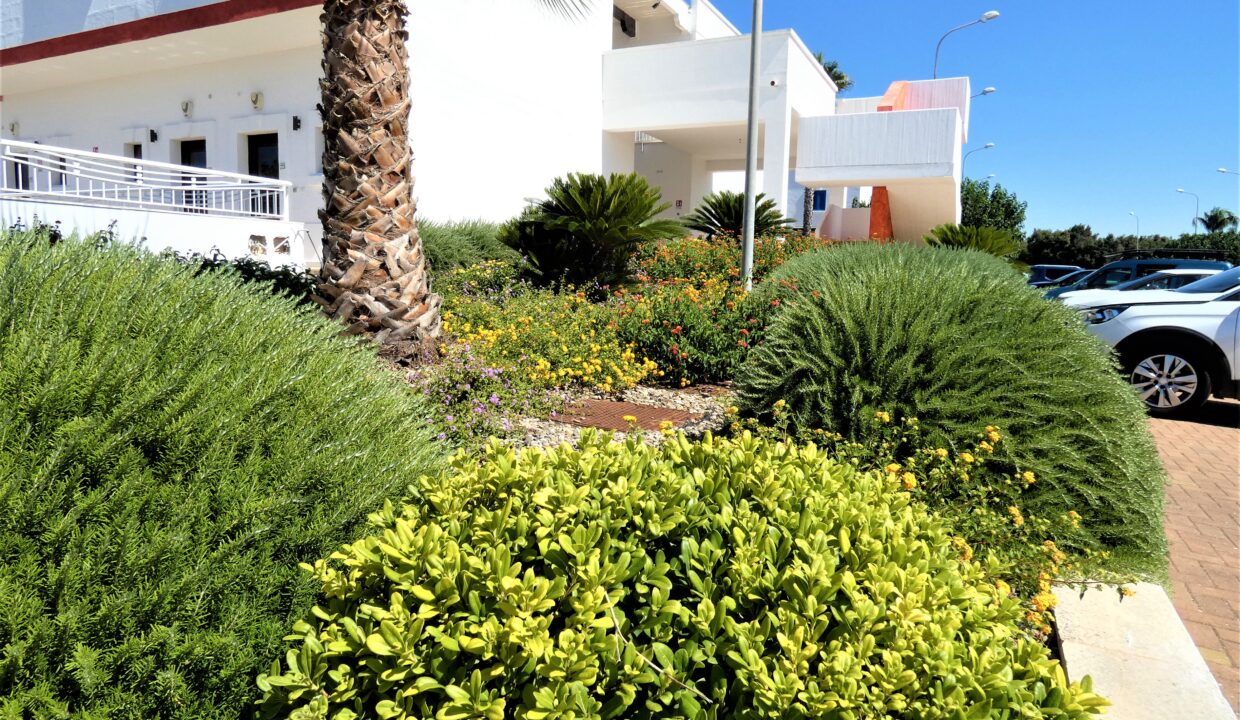 P1030371 (2)