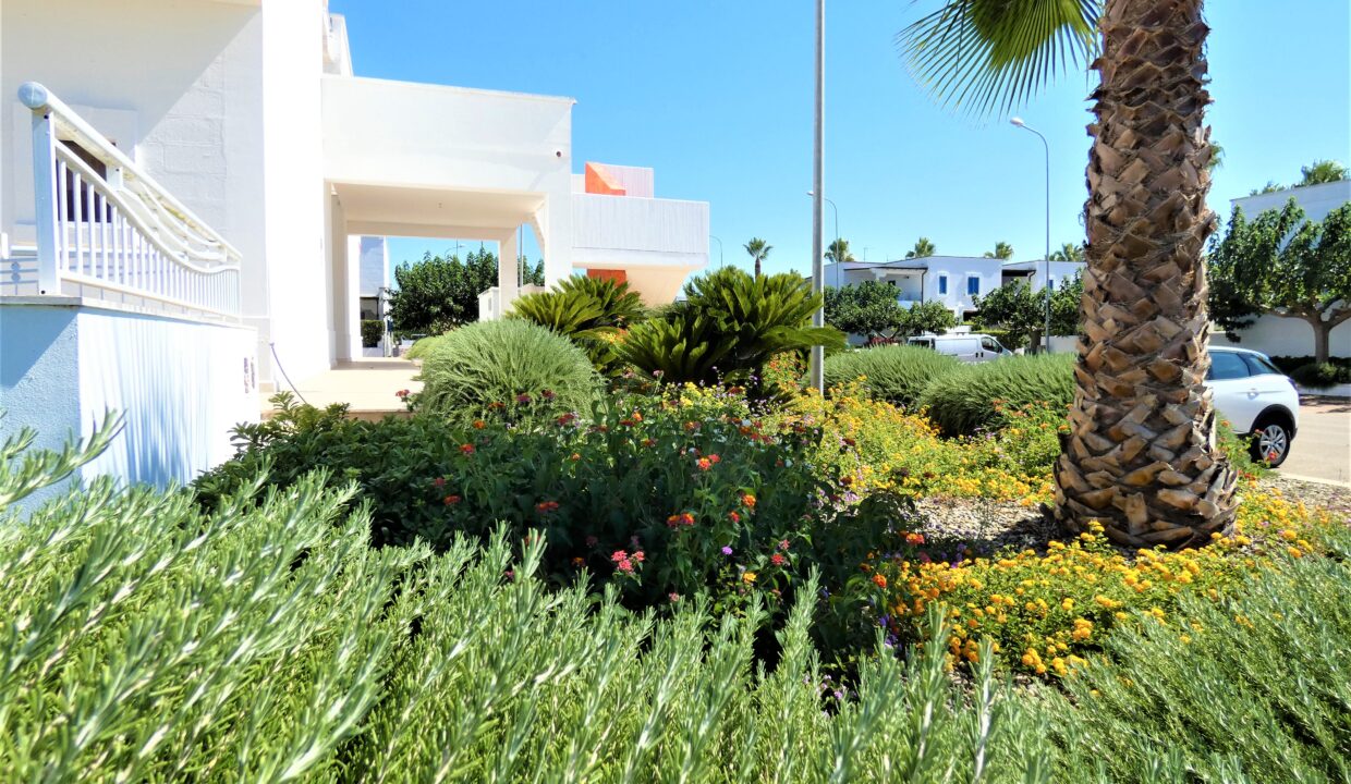 P1030372 (2)