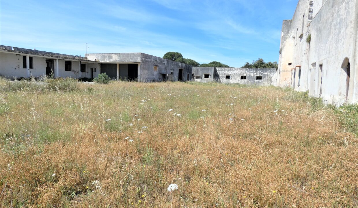 P1040175