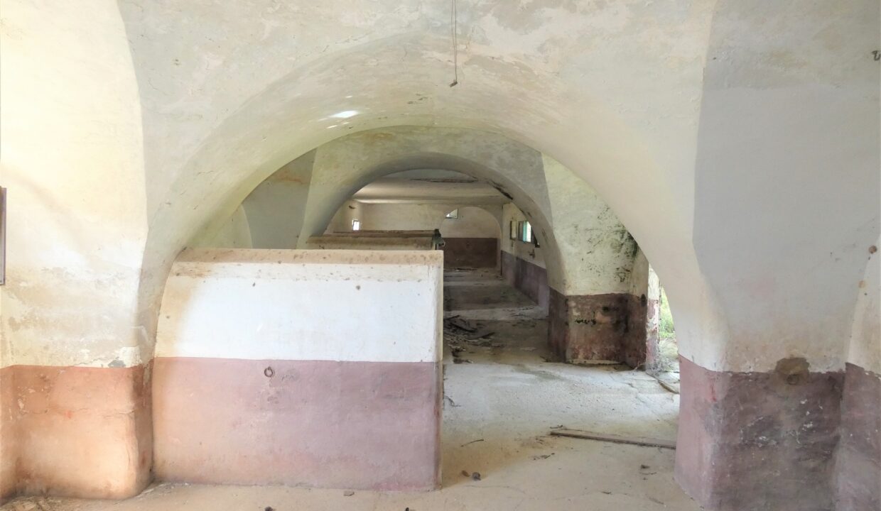 P1040184