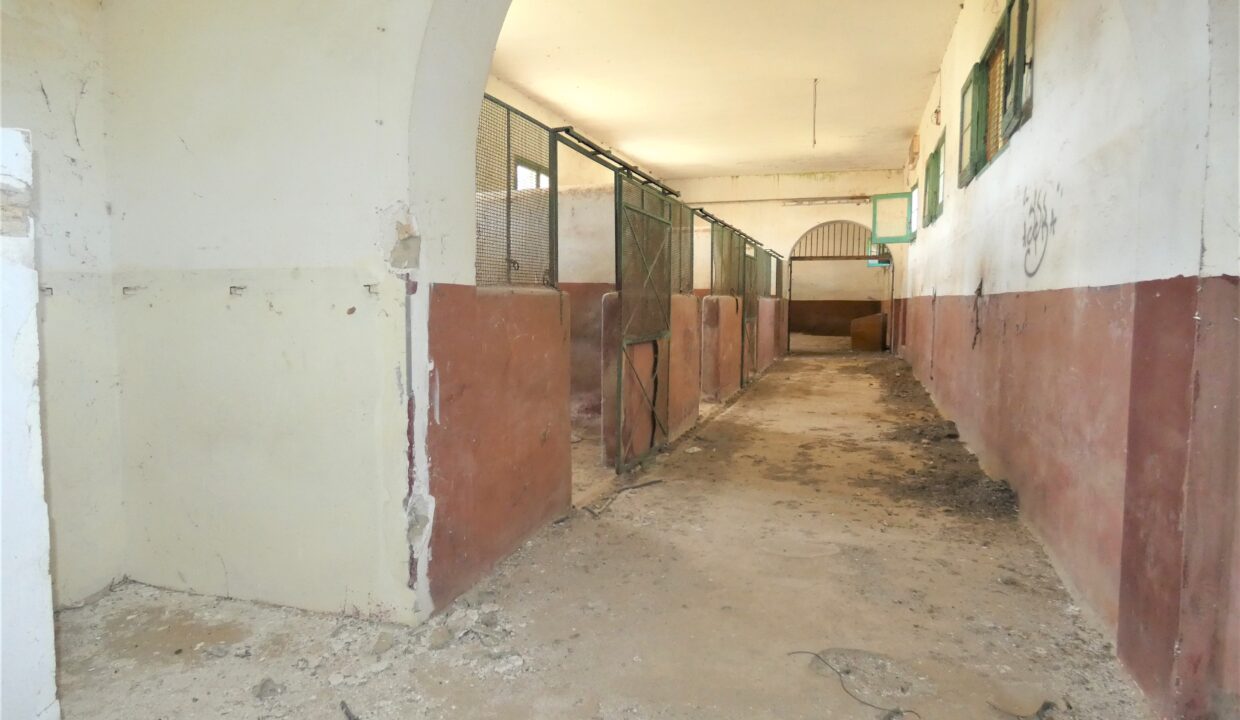 P1040187