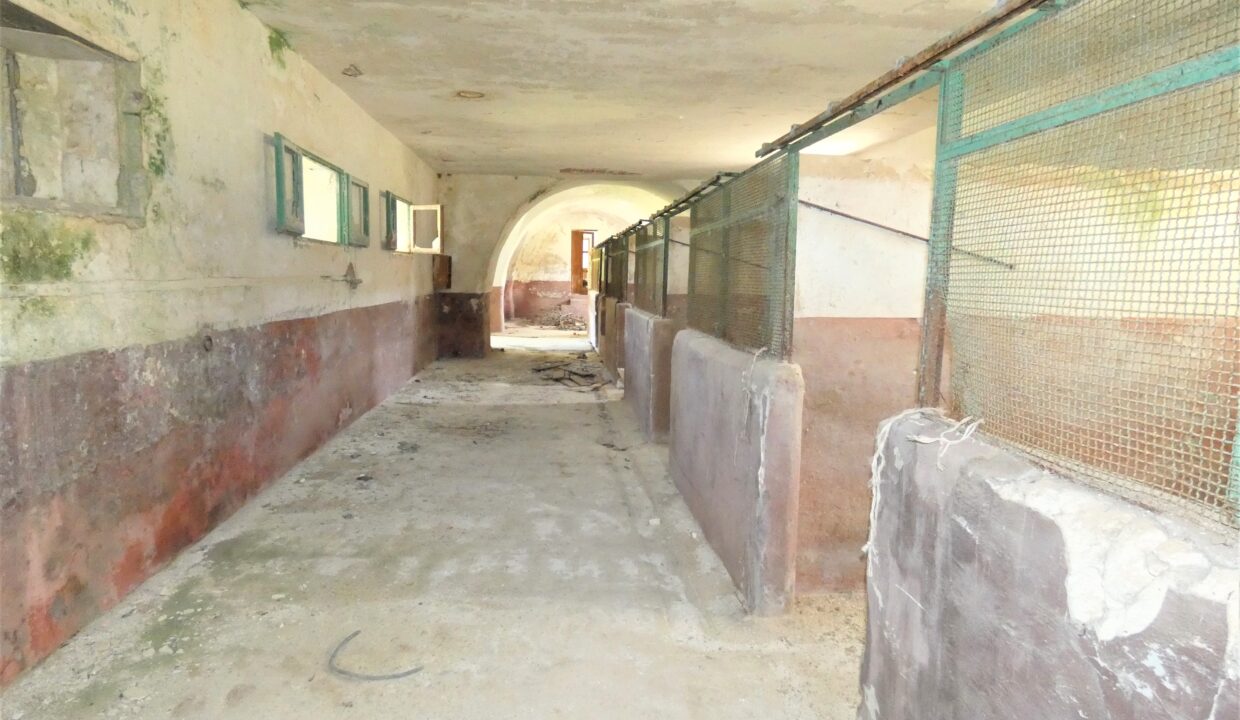 P1040191