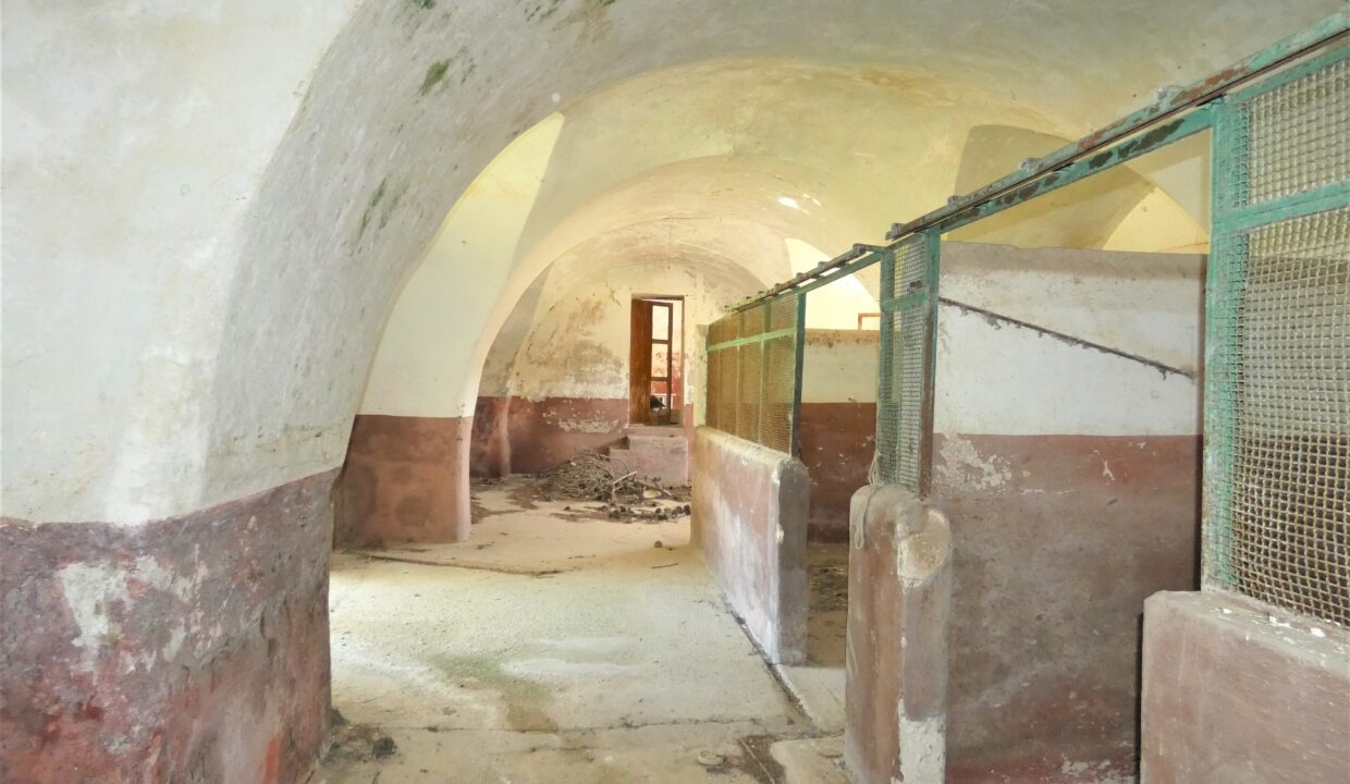 P1040192