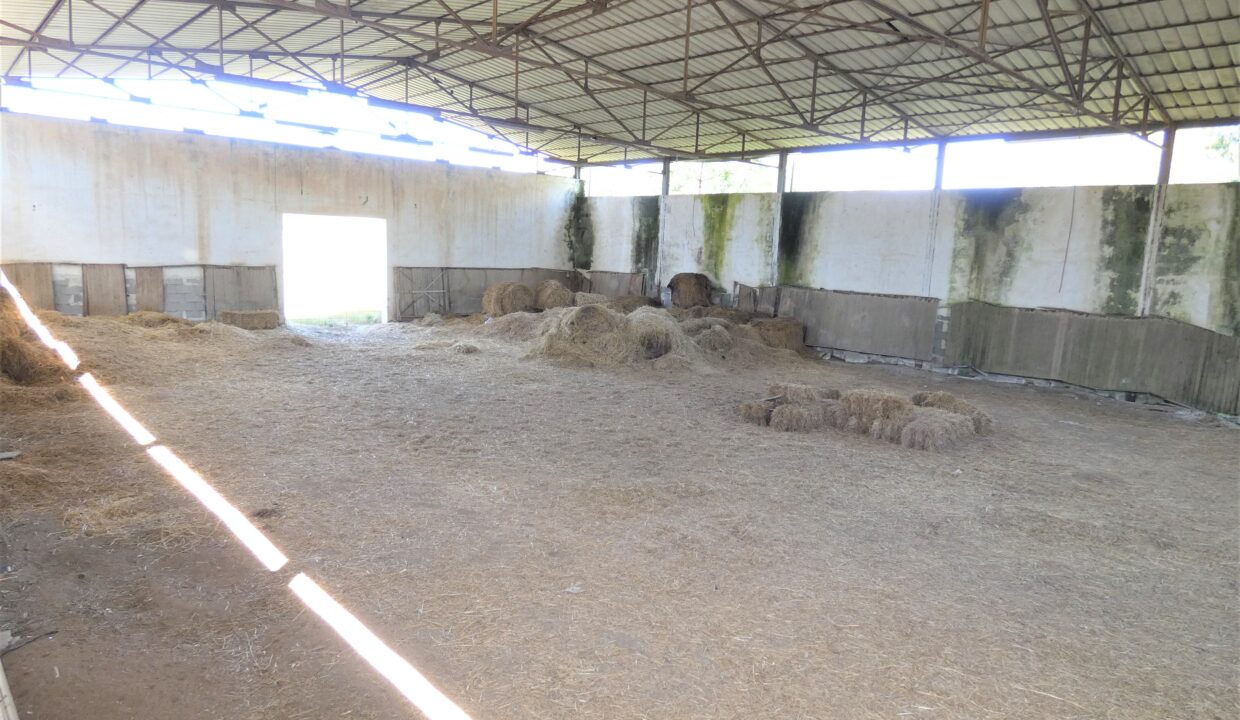 P1040193