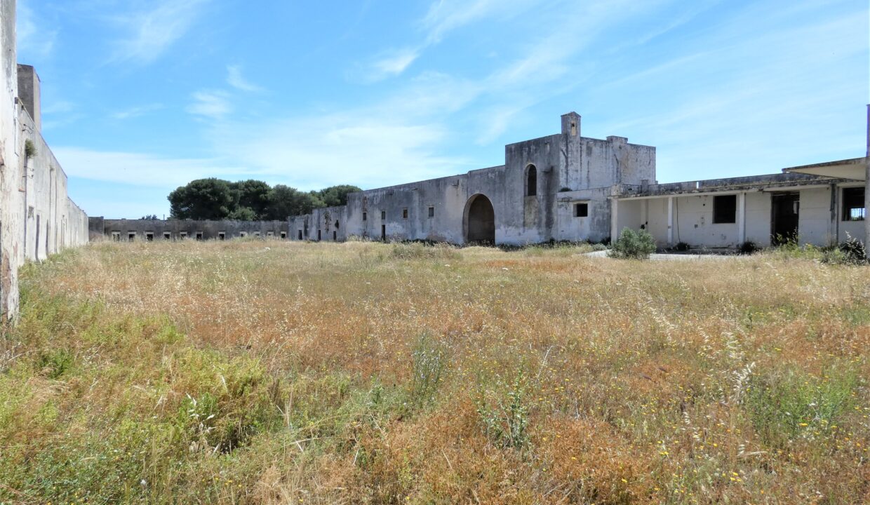P1040196