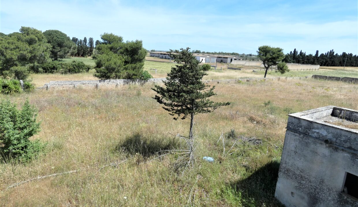 P1040200
