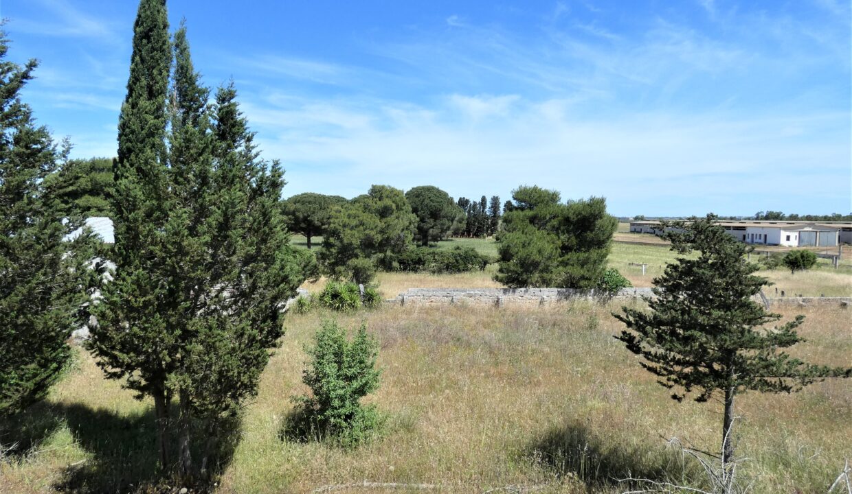 P1040201