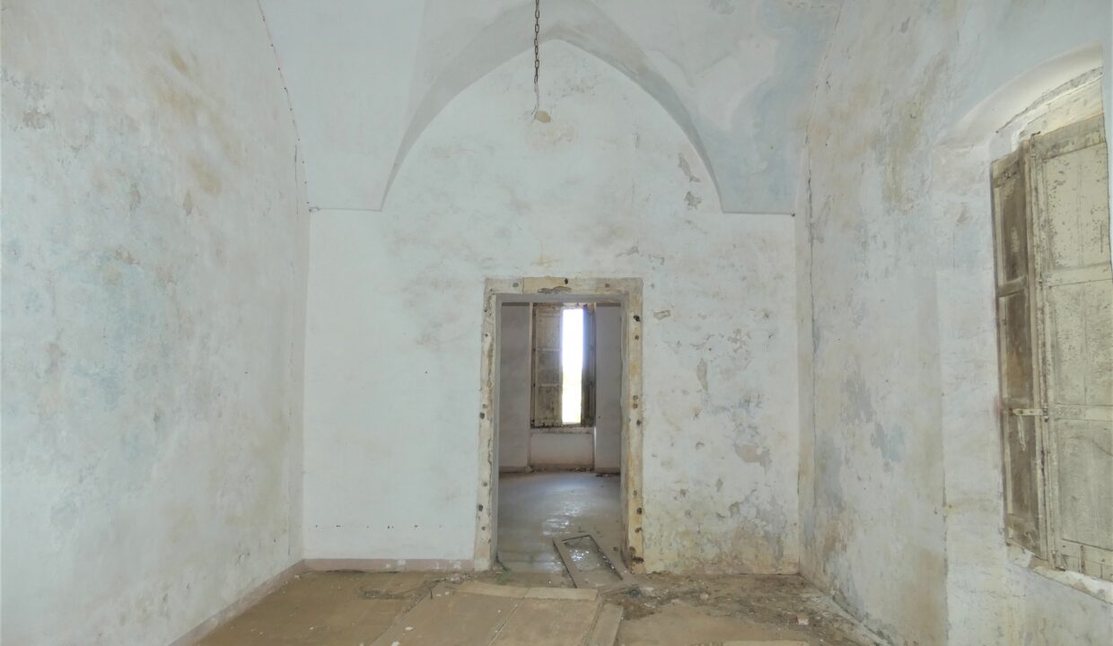 P1040204