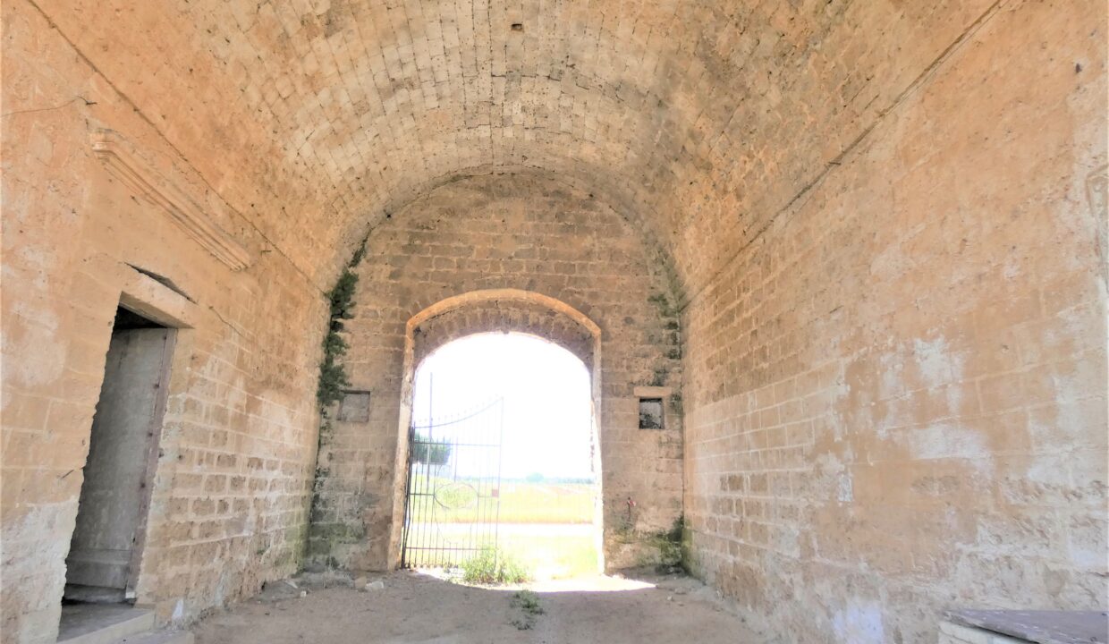 P1040208