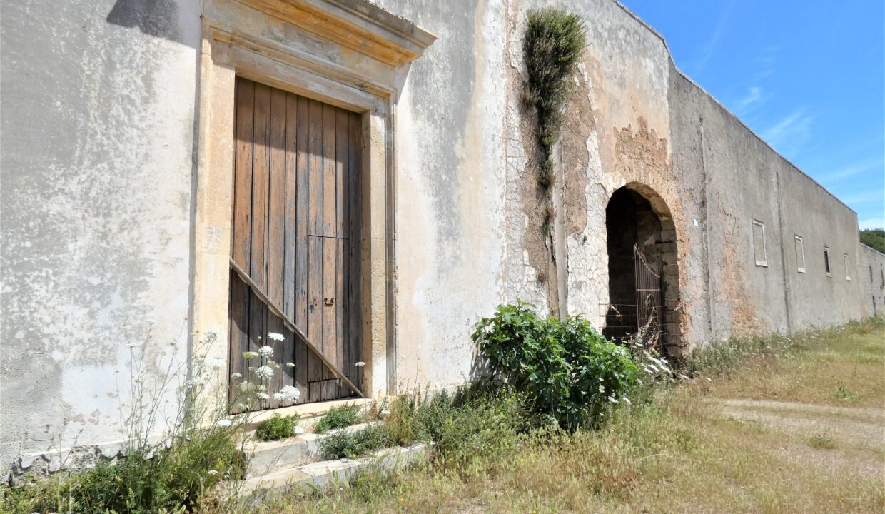 P1040216