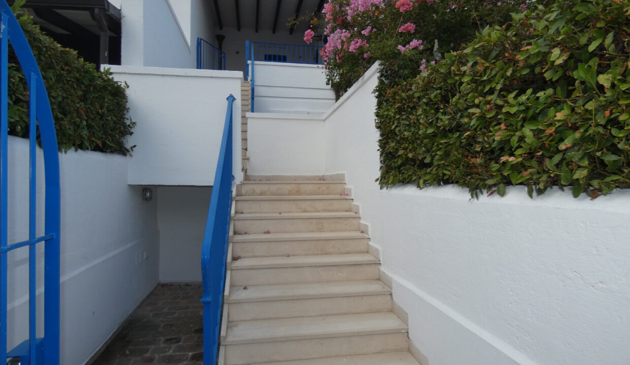 P1040450