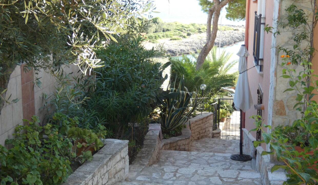 P1010896